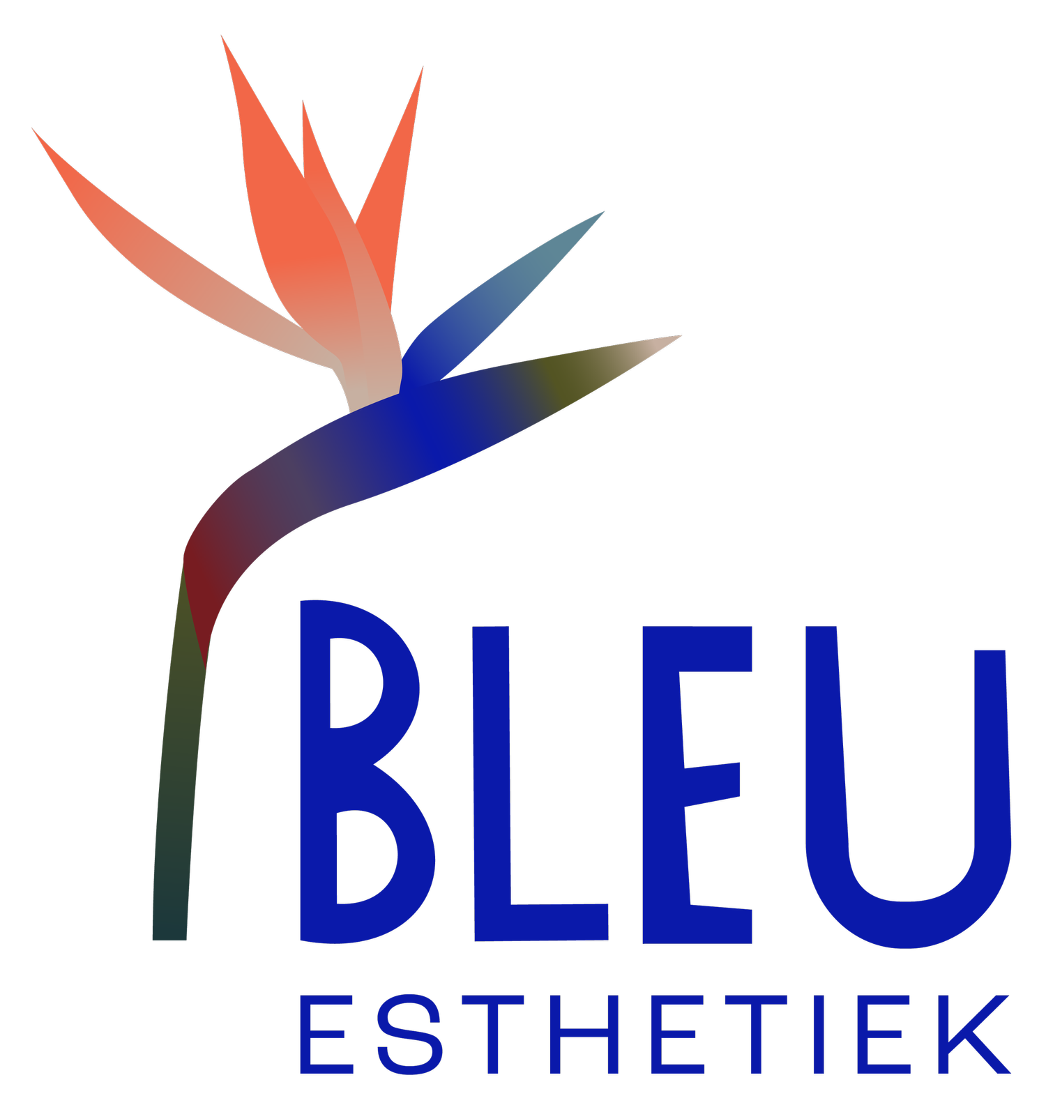 Logo Bleu Esthetiek